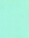 PVC Turmalina(Fibraplac)