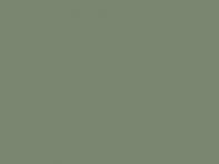 Verde pastel